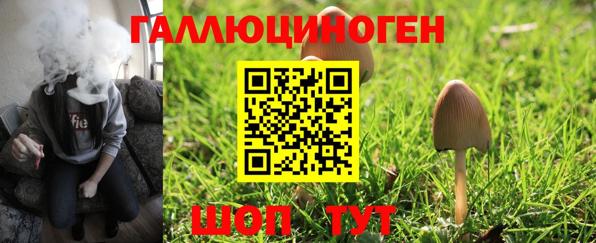 Псилоцибиновые грибы мухоморы Тельмана
